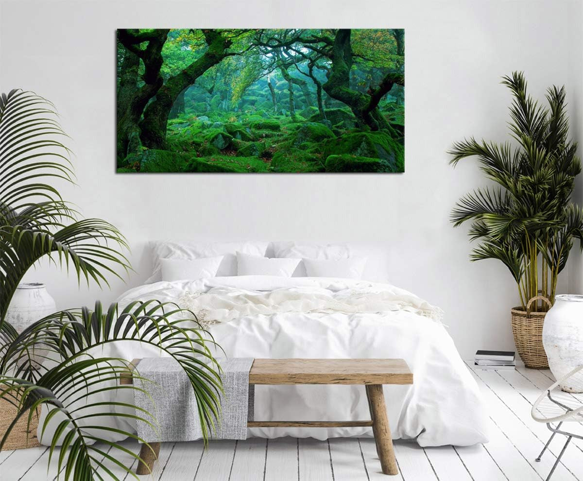 Green Forest Canvas Wall Art Living Room Decoration Big Trees Nature Picture Large Modern Canvas Artwork Contemporary Woods Mossy Rock Spring Season Prints for Office Home Decoration 20" X 40"