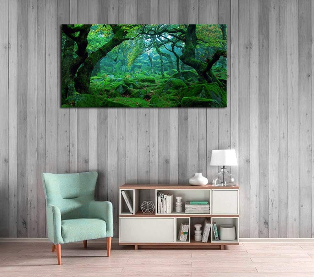 Green Forest Canvas Wall Art Living Room Decoration Big Trees Nature Picture Large Modern Canvas Artwork Contemporary Woods Mossy Rock Spring Season Prints for Office Home Decoration 20" X 40"